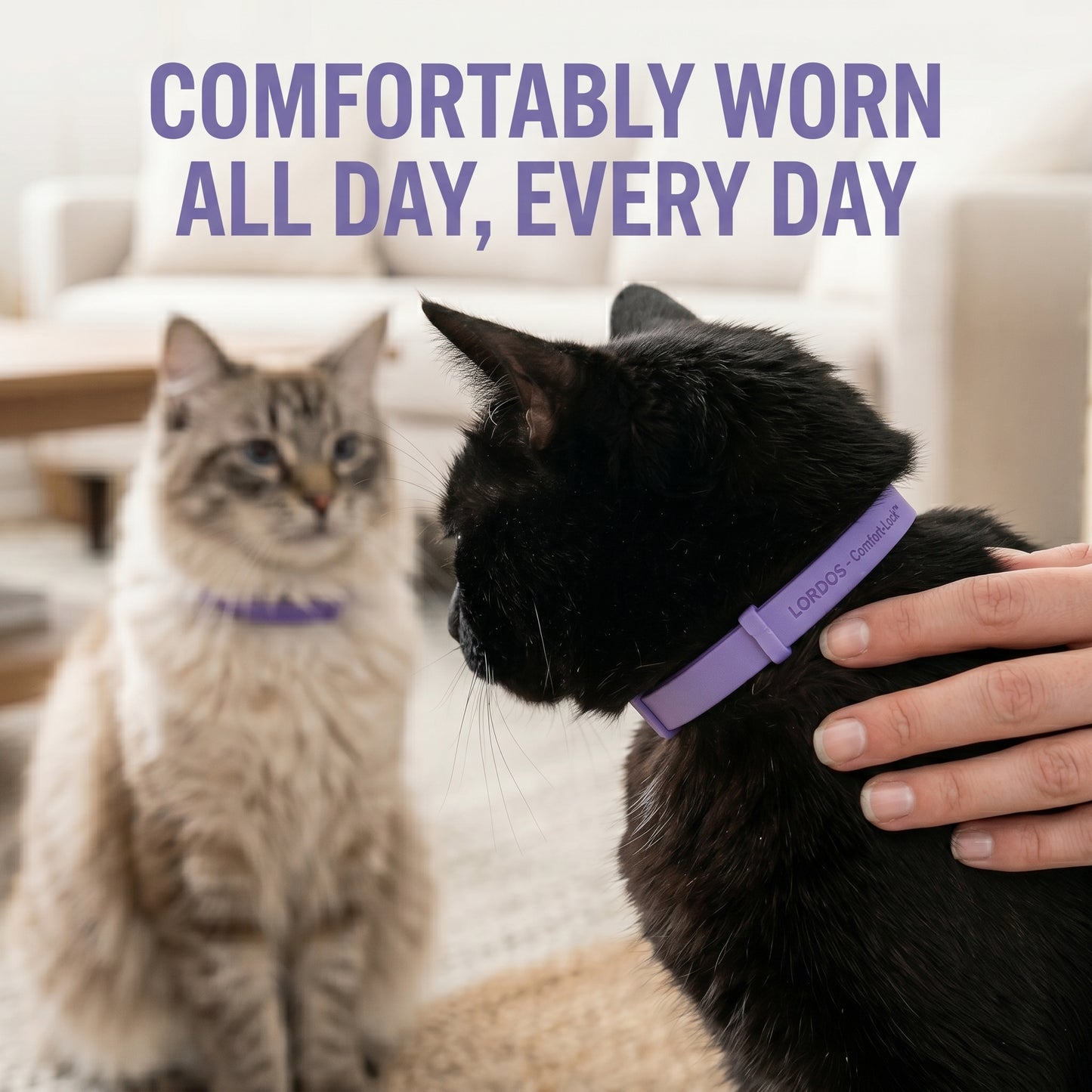Lordos™ Natural Pheromone Calming Collar for Cats — Soothes Stress & Anxiety