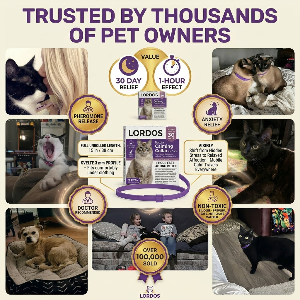 Lordos™ Natural Pheromone Calming Collar for Cats — Soothes Stress & Anxiety